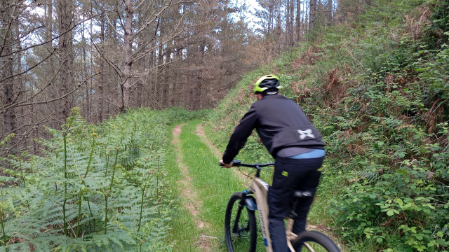 BTT - Ruta La Chomba 2