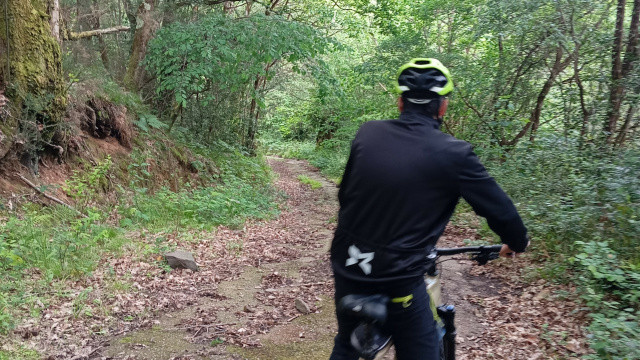 BTT - Ruta Rio Pigüeña 3B