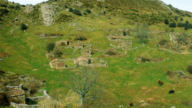 Braña de Cuevas 